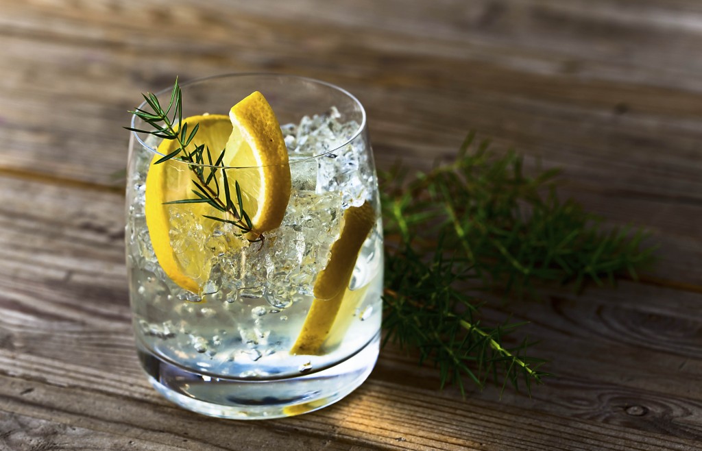 gin-and-tonic-1024x658