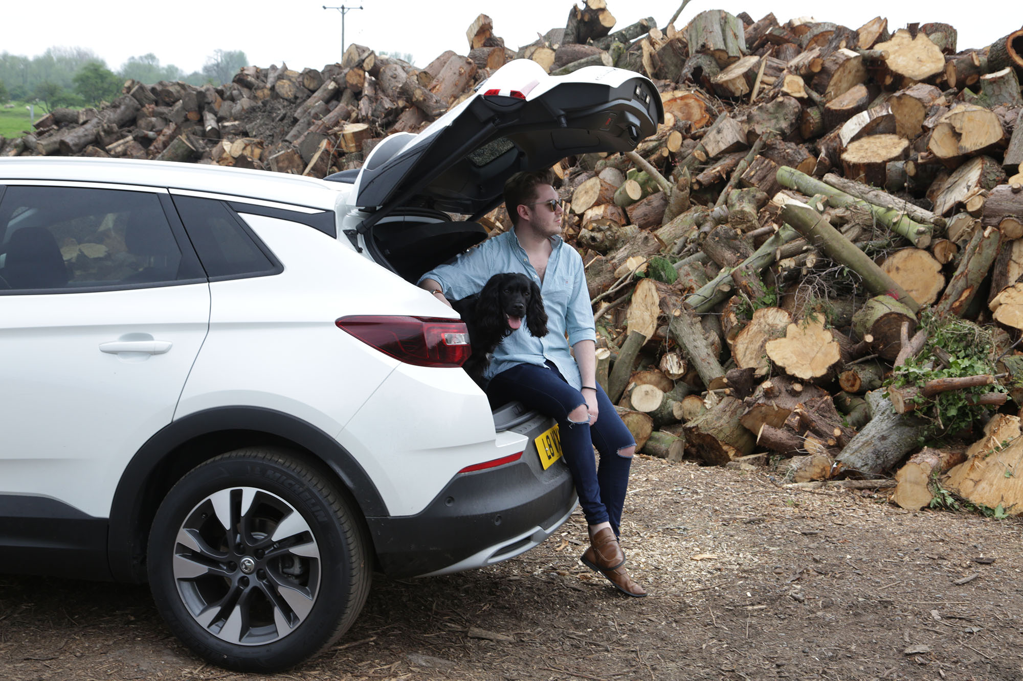 Man and dog in car, man in 4x4, 4x4 spacious,Vauxhall Grandland X, Vauxhall, dog