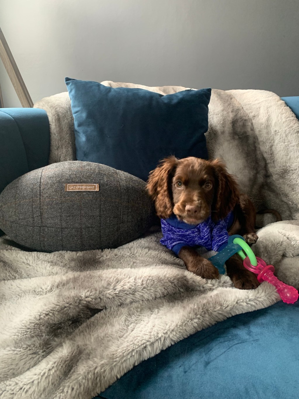 Tips to choosing the right soft&nbsp;furnishings